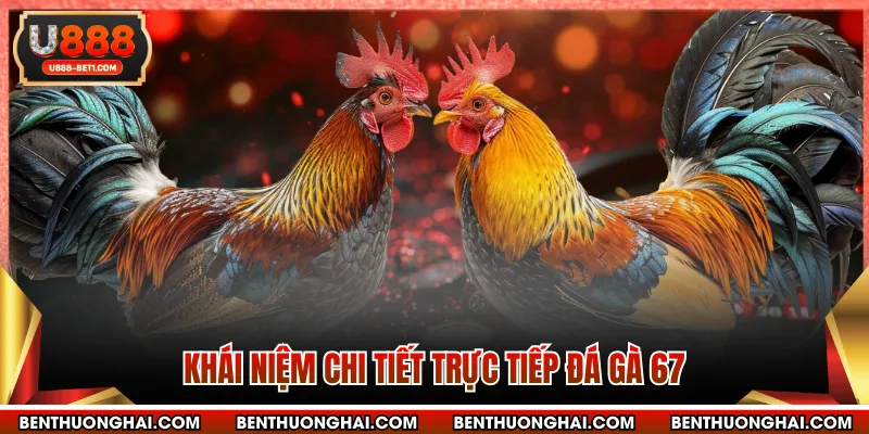 Khái niệm chi tiết trực tiếp đá gà 67
